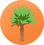 DATE PALM SMALL.png