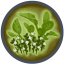 Icon Plant Herbs.png