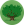 RUBBER TREE.png