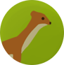 File:STOAT.png
